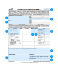 How to Read a Certificate of Insurance and Why it's Important